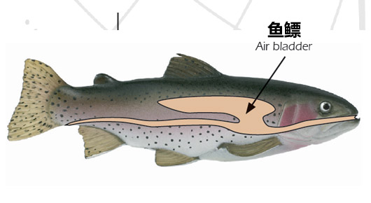 環境氣象|空氣質量|海洋環境|水質水文|植物生態 環境氣象|空氣質量|海洋環境|水質水文|植物生態