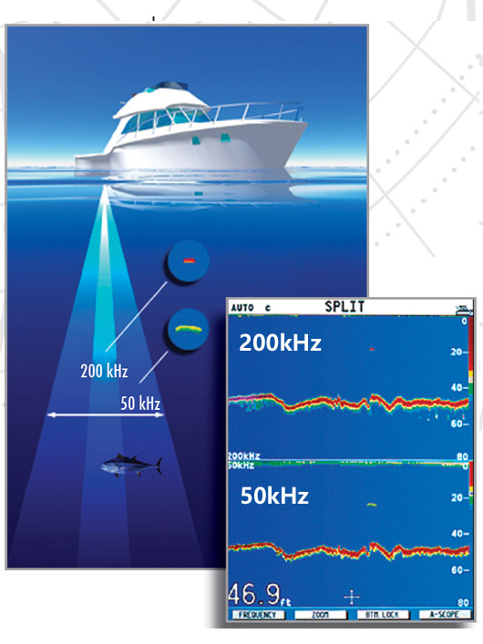 環境氣象|空氣質量|海洋環境|水質水文|植物生態 環境氣象|空氣質量|海洋環境|水質水文|植物生態
