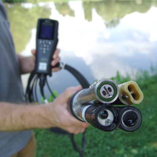 環境氣象|空氣質量|海洋環境|水質水文|植物生態