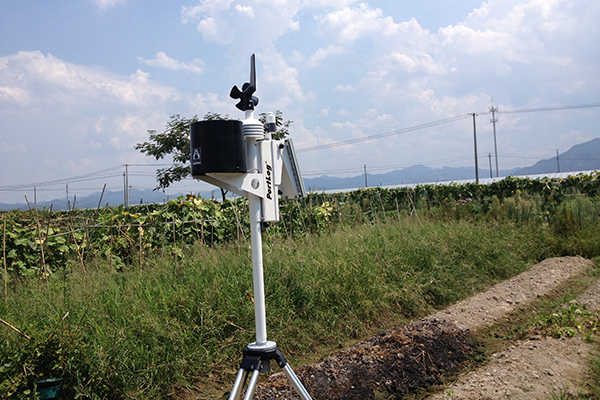 環境氣象|空氣質量|海洋環境|水質水文|植物生態